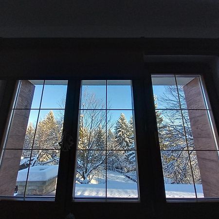 Vila Vikendica Pasa Pale Exteriér fotografie