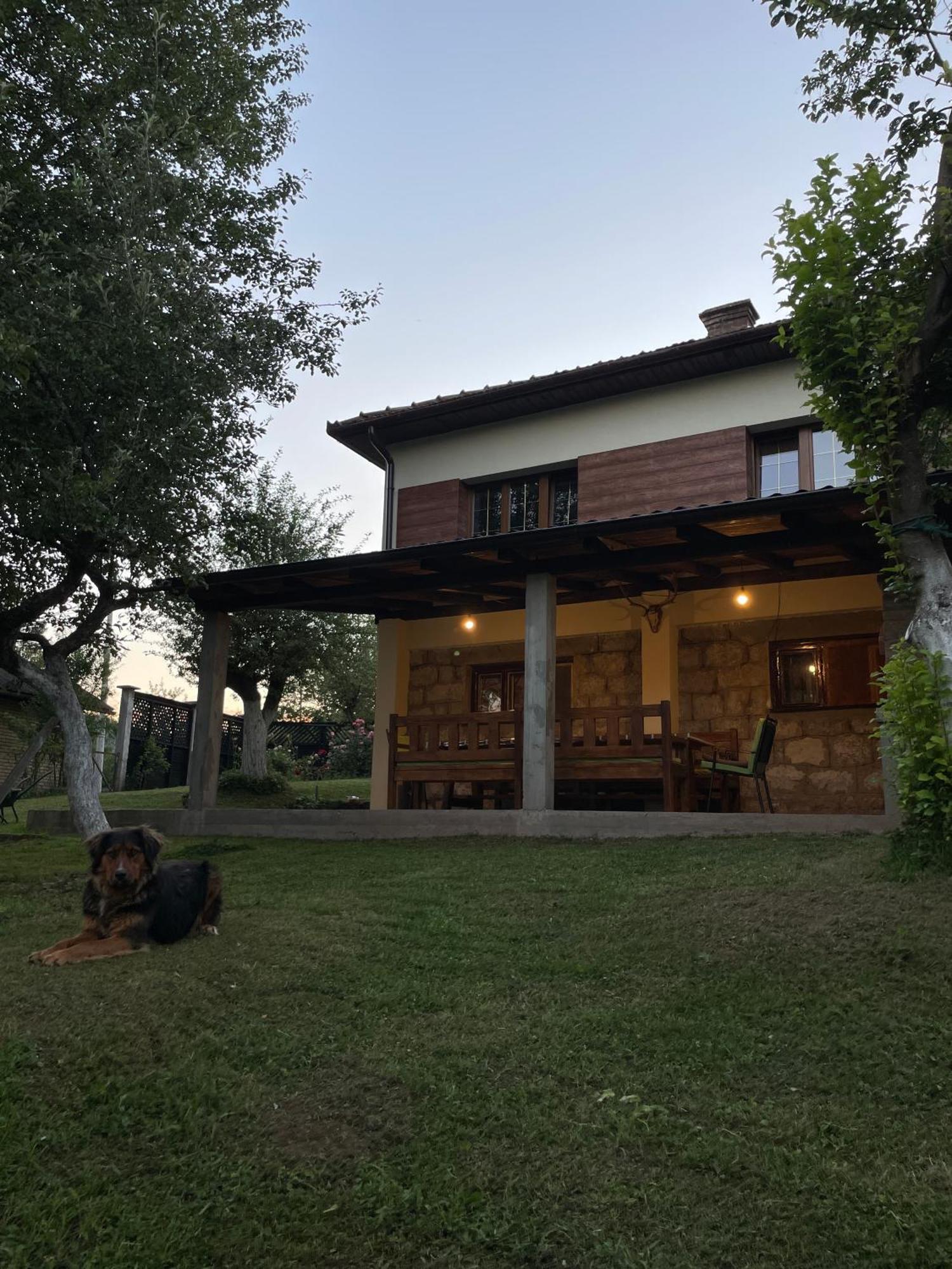 Vila Vikendica Pasa Pale Exteriér fotografie
